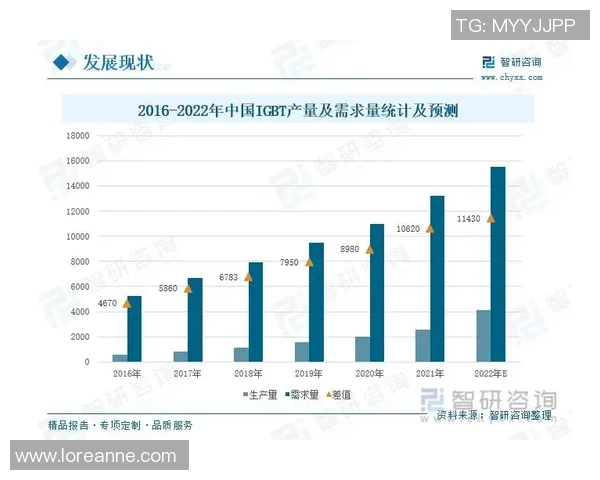 中国篮球体制的现状与未来发展路径探讨及改革建议