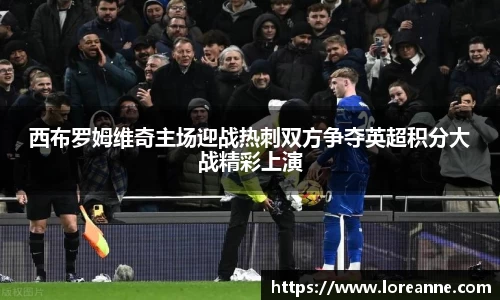 西布罗姆维奇主场迎战热刺双方争夺英超积分大战精彩上演